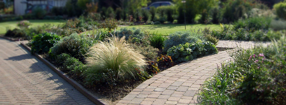 Tumbled Block Path with Soft Planting
